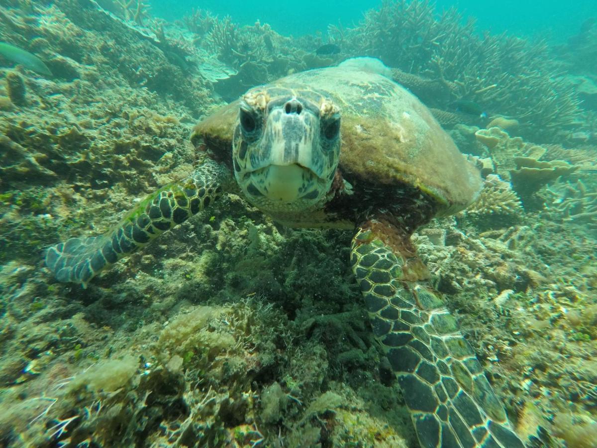 Bushman Tioman Hotel Kampong Juara Kültér fotó